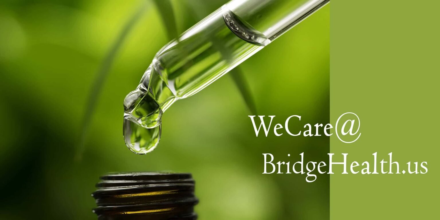 Final 1 A whole body Approach to Wellness Bridge Health