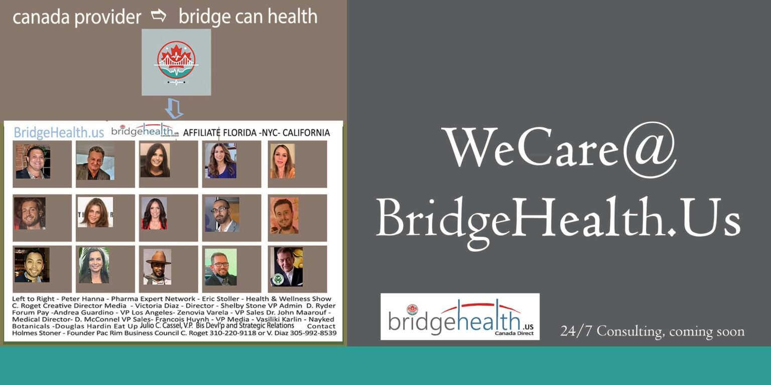 Final 6 BridgeHealth.us Heirarchy